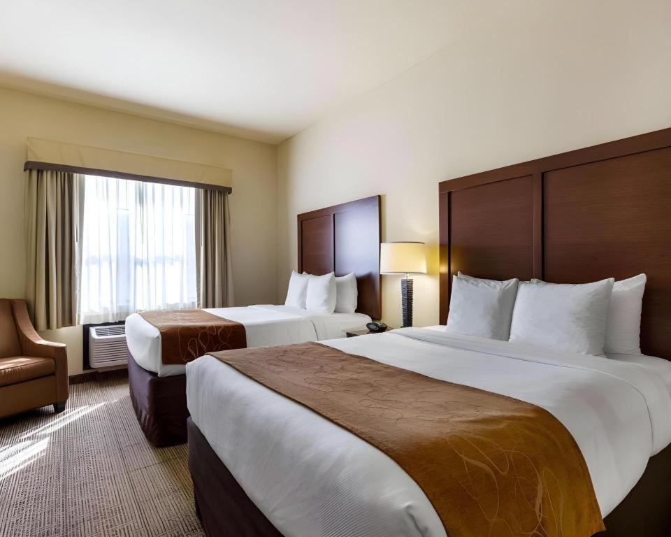 Comfort Suites Near Nasa - Clear Lake Webster Εξωτερικό φωτογραφία