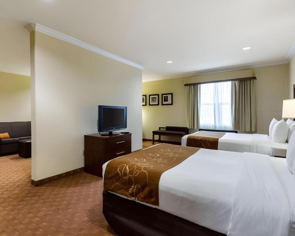 Comfort Suites Near Nasa - Clear Lake Webster Εξωτερικό φωτογραφία