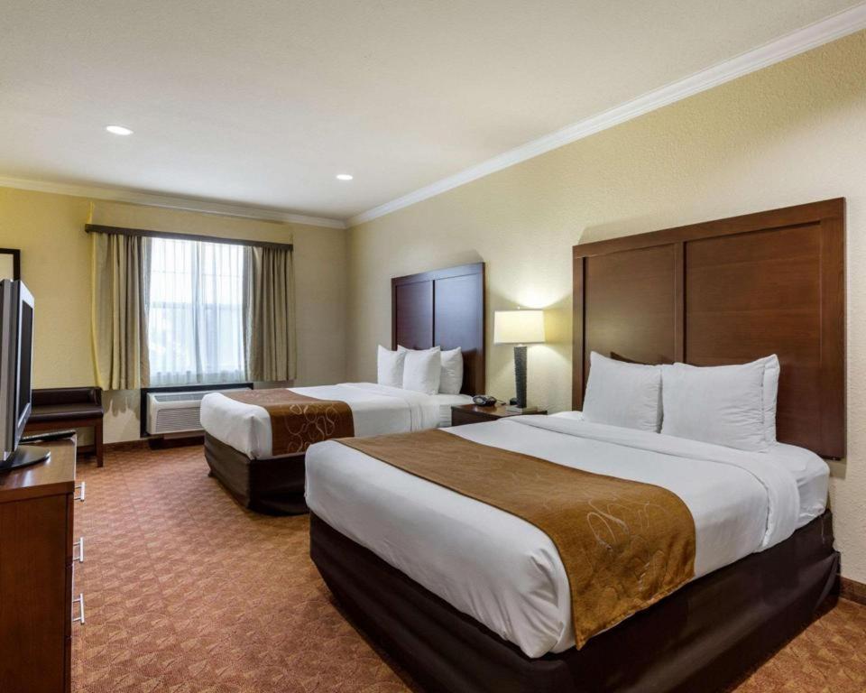 Comfort Suites Near Nasa - Clear Lake Webster Εξωτερικό φωτογραφία