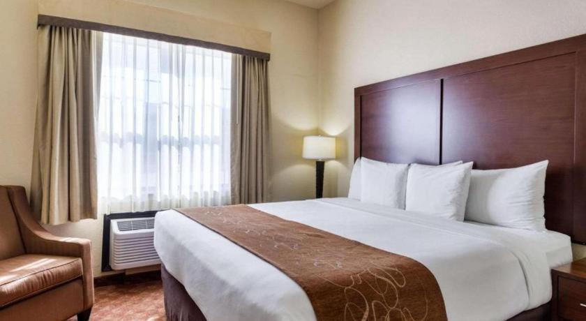 Comfort Suites Near Nasa - Clear Lake Webster Εξωτερικό φωτογραφία